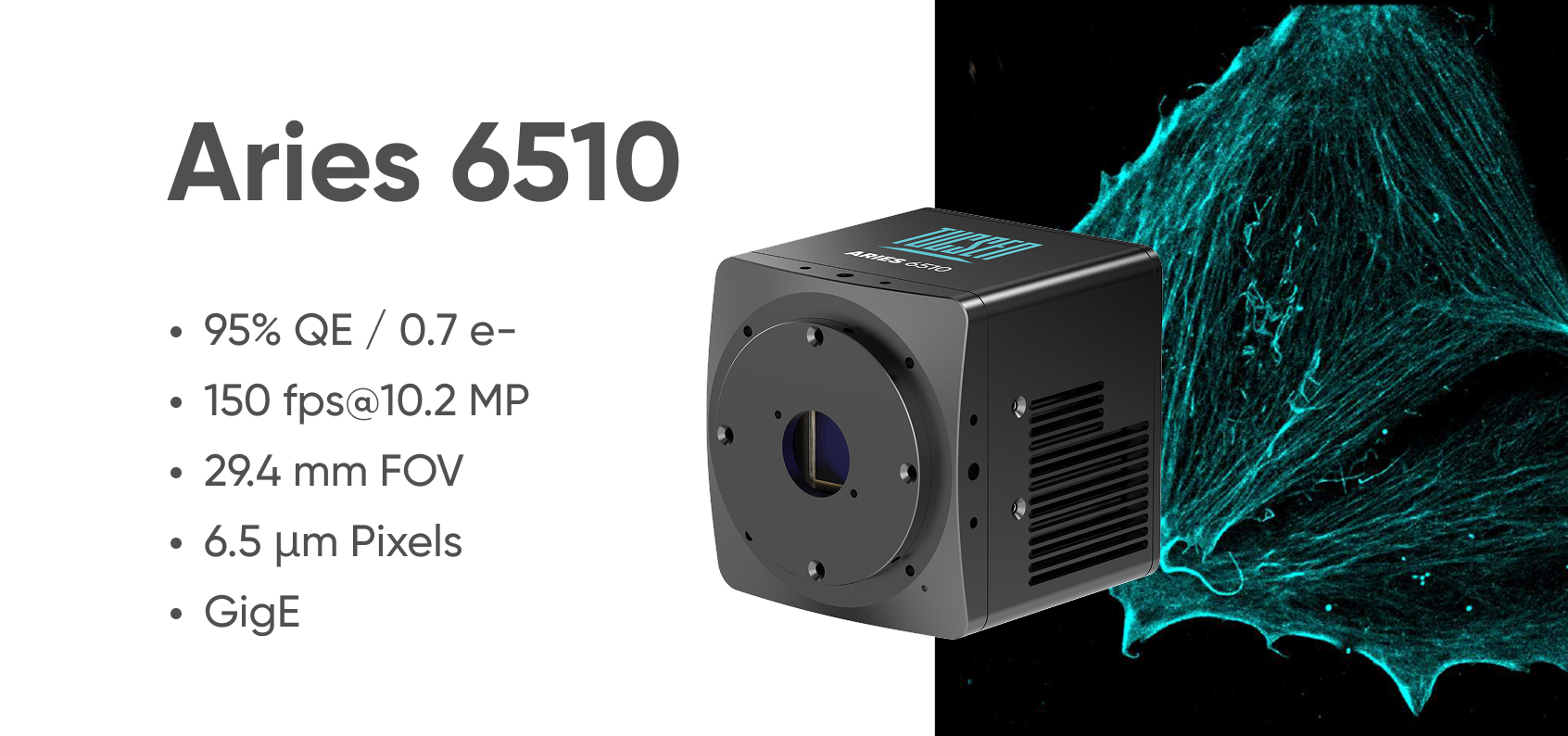 Aries 6510