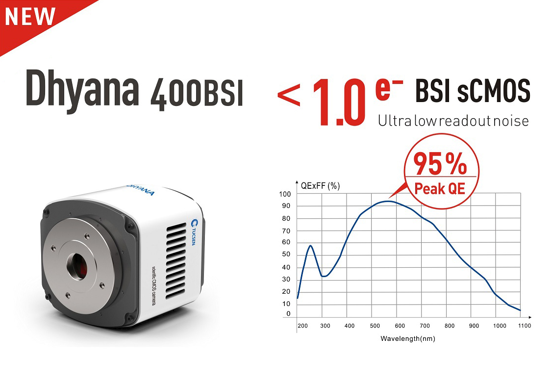 鑫圖發(fā)布新一代超高信噪比sCMOS科學(xué)相機(jī)，Dhyana 400BSI!