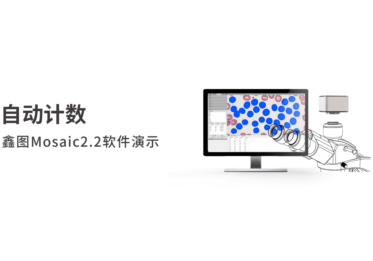 自動(dòng)計(jì)數(shù)